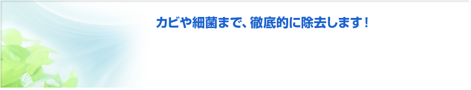 カビや細菌まで、徹底的に除去します！